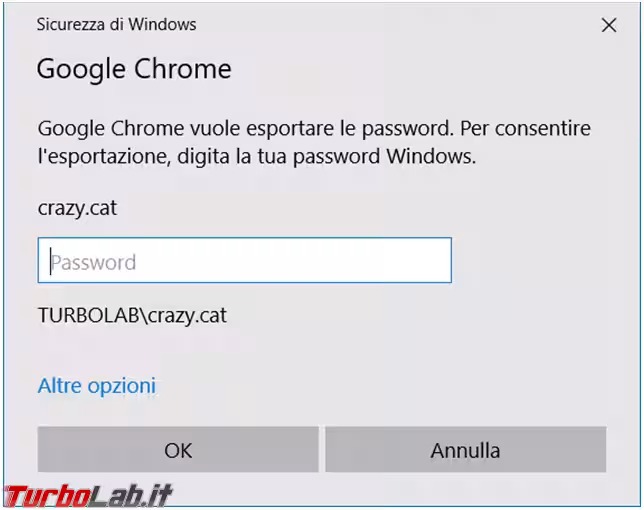 Immagine 3 Foto3