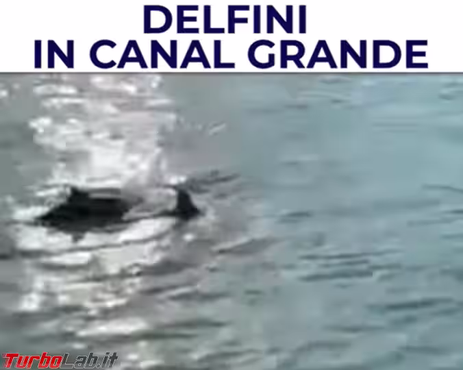 Immagine 1 FrShot_1616507085