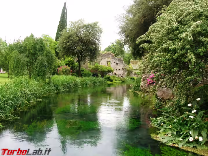 Immagine 1 Giardino_di_Ninfa_85