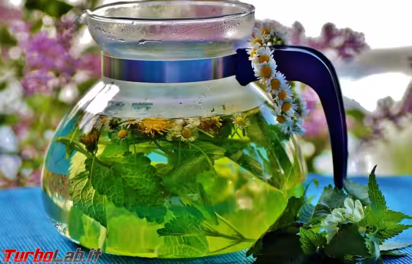 Immagine 1 herbal-3504948_960_720