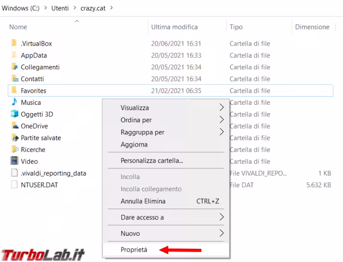 Immagine 1 image1
