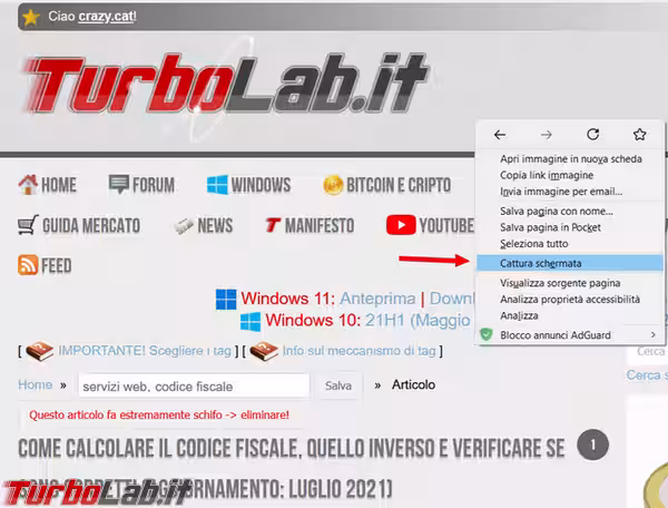 Immagine 1 image1