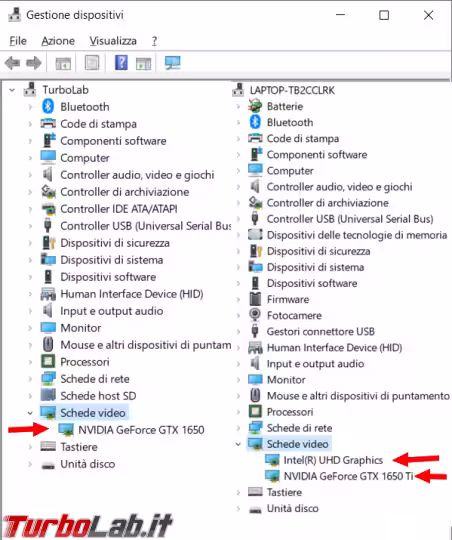 Immagine 1 image1
