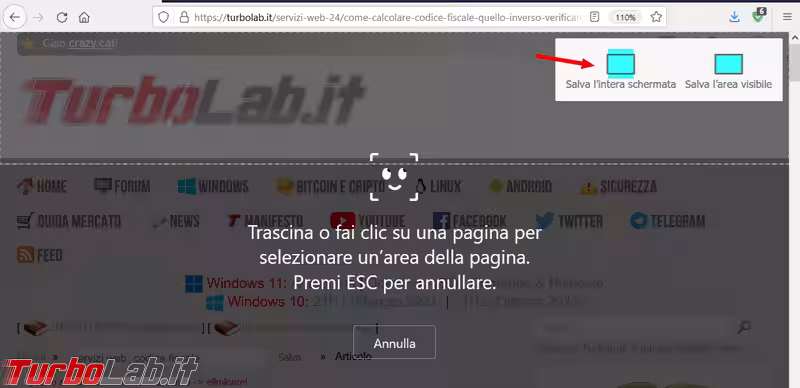 Immagine 2 image2