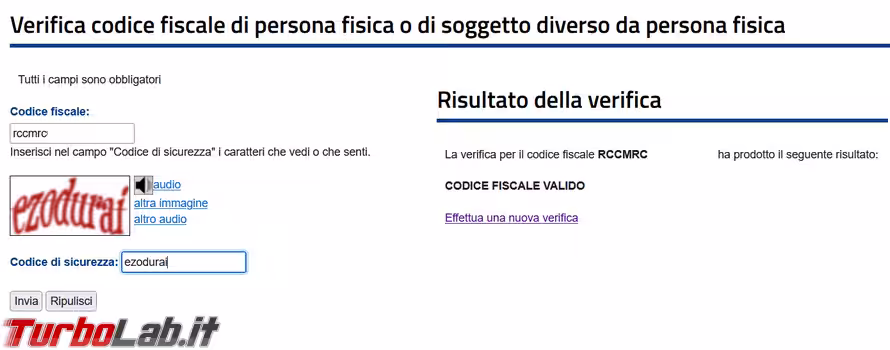 Immagine 4 image4