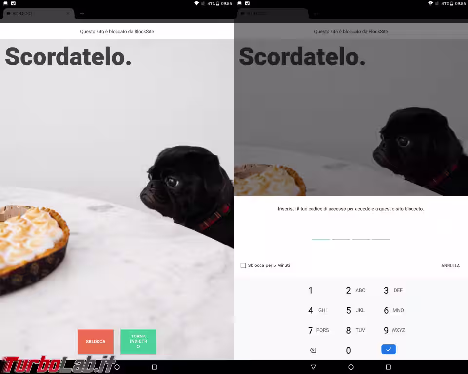 Immagine 6 Senza nome