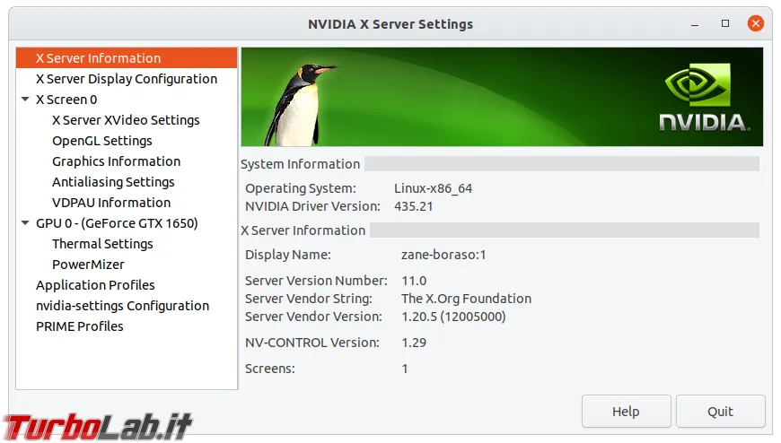 Immagine 2 nvidia x server settings Immagine 2 nvidia x server settings