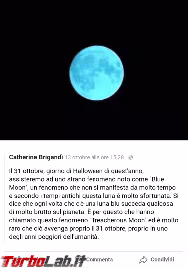 Immagine 1 Screenshot_20201016-153712