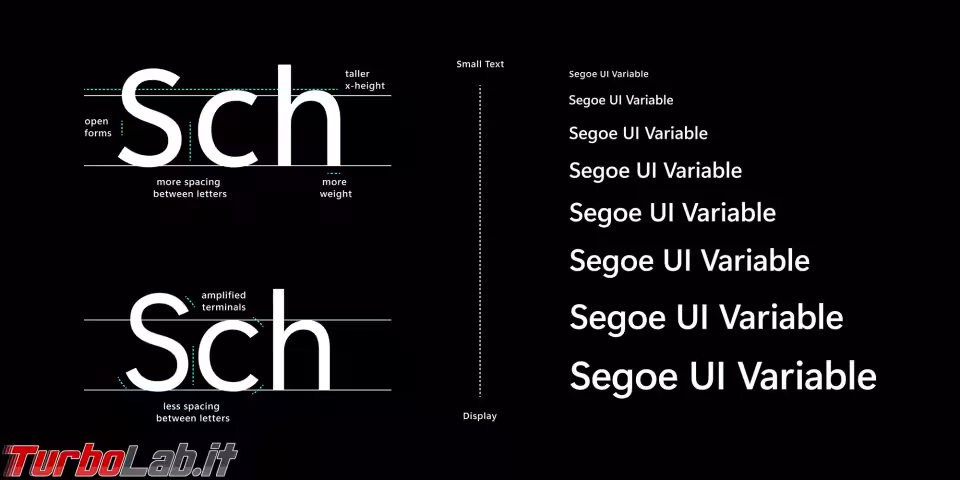 Immagine 6 segoe-variabl