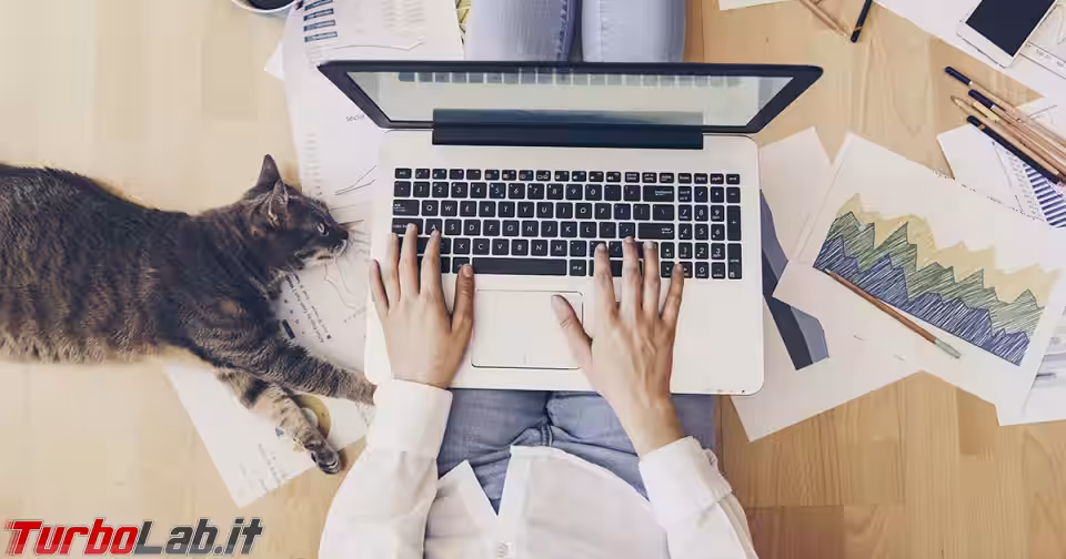 Immagine 1 smartworking_news