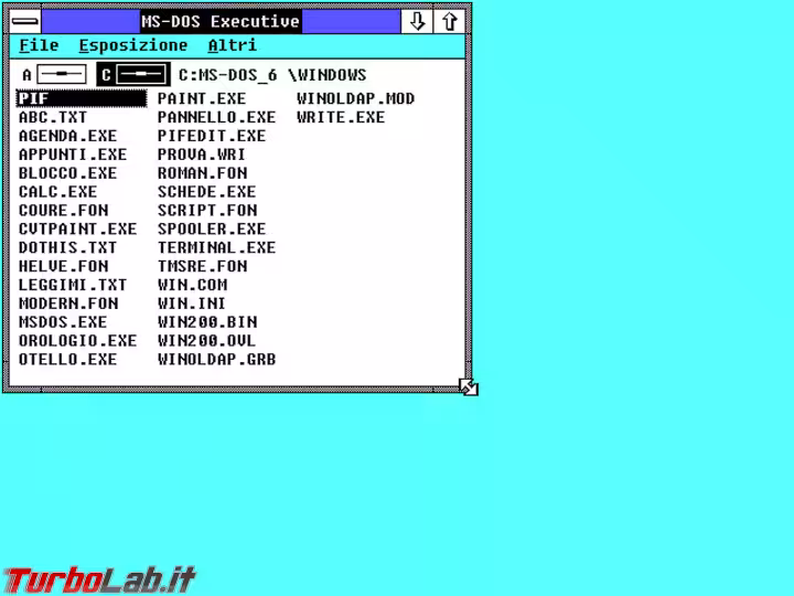 Immagine 4 Windows 2 (2)