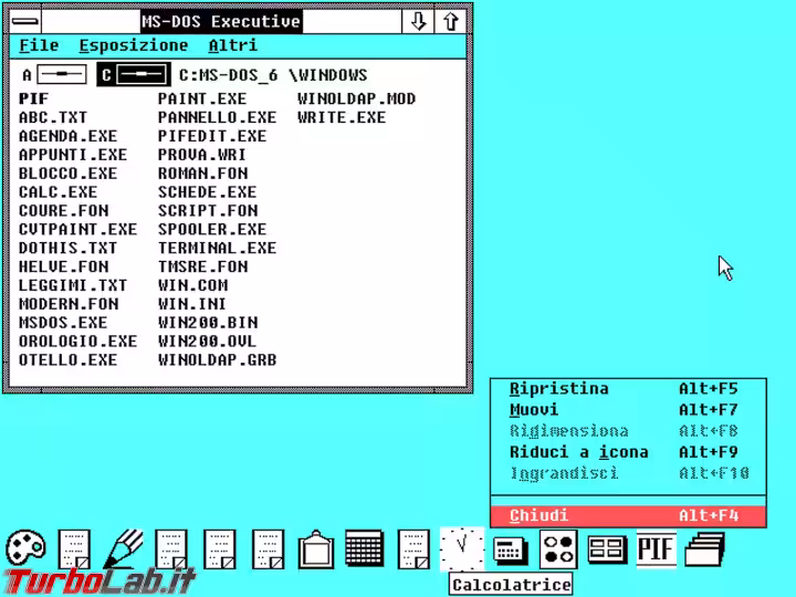 Immagine 7 Windows 2 (8)