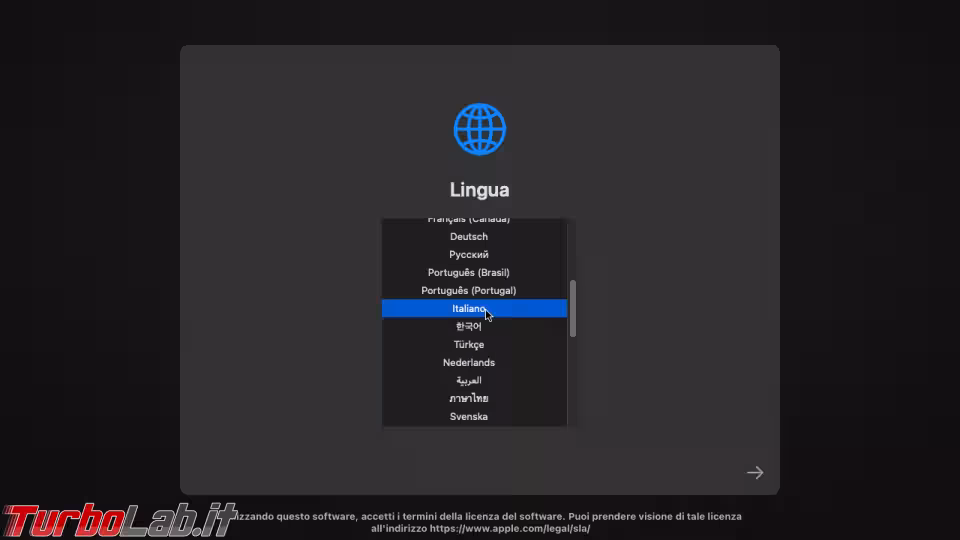 Immagine 21 zShot_1609067961 Immagine 21 zShot_1609067961