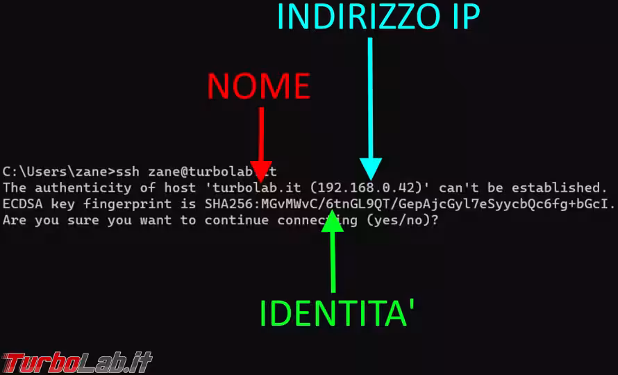 Immagine 6 zShot_1610796039