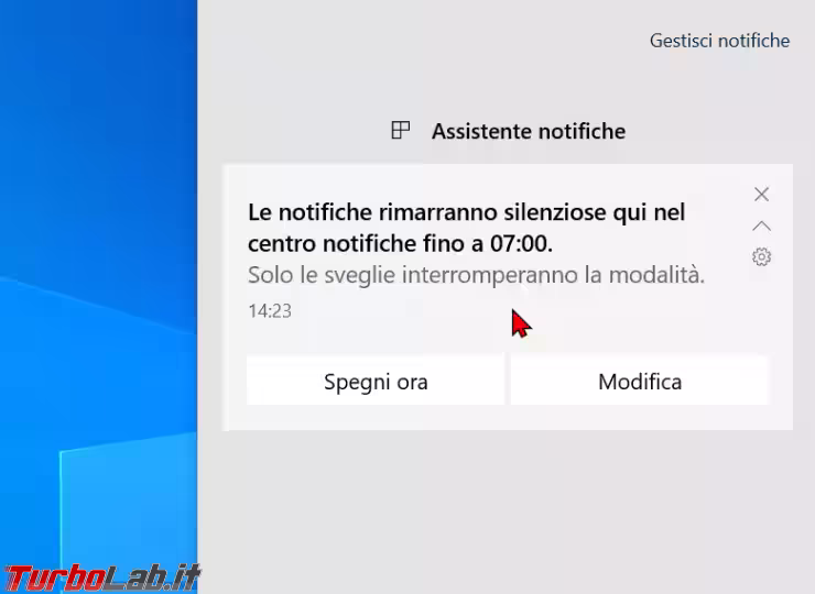 Immagine 19 zShotVM_1598185423