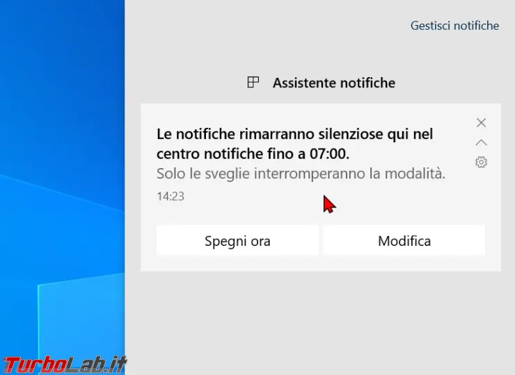 Immagine 19 zShotVM_1598185423
