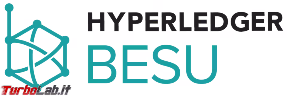 Immagine 2 besu logo