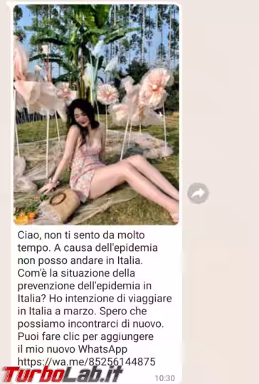 Immagine 7 bis