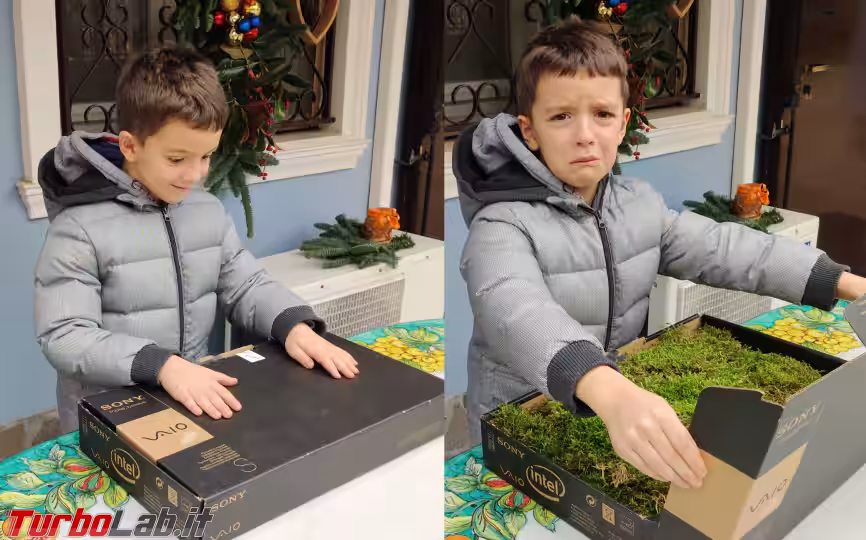 Immagine 58 Guido Vaio natale muschio (novembre 2020)