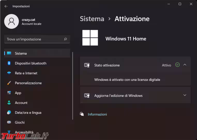 Immagine 7 image1