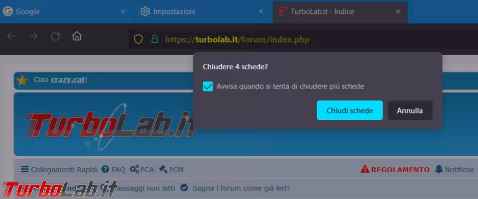 Immagine 8 image1