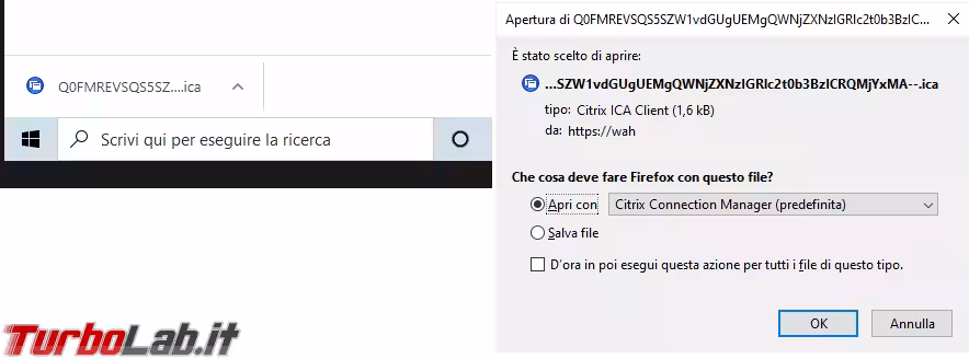 Immagine 1 image1