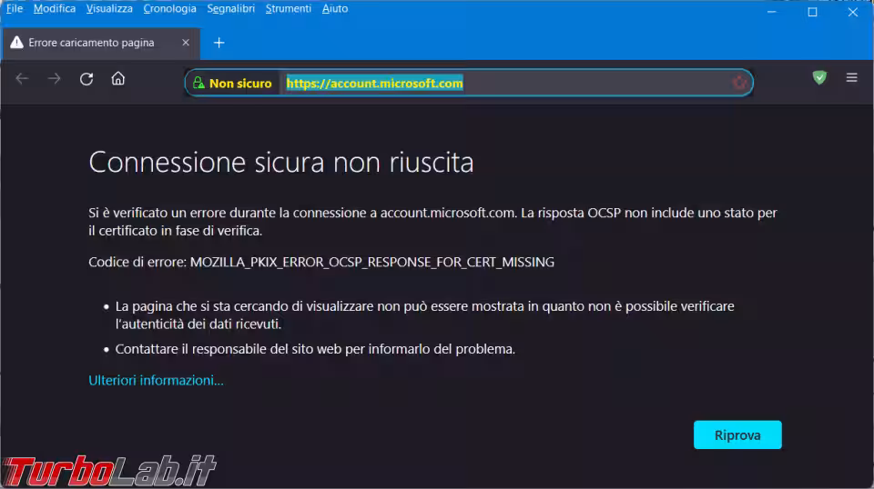 Immagine 1 image1