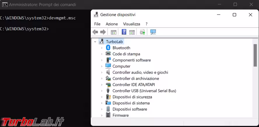 Immagine 1 image1