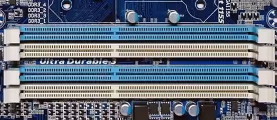 Immagine 1 image1