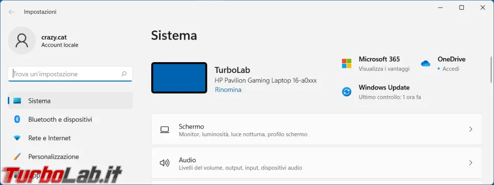 Immagine 1 image1 Immagine 1 image1