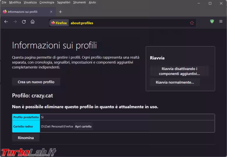 Immagine 4 image1