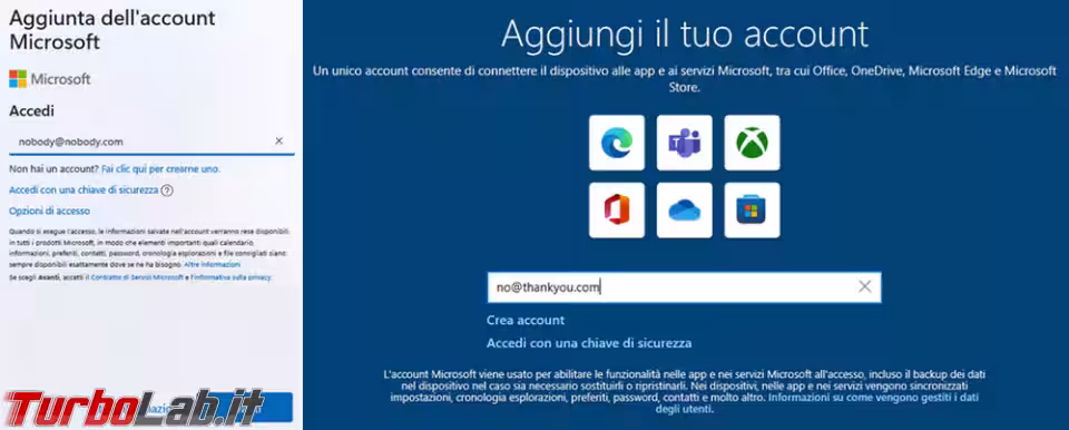 Immagine 3 image1