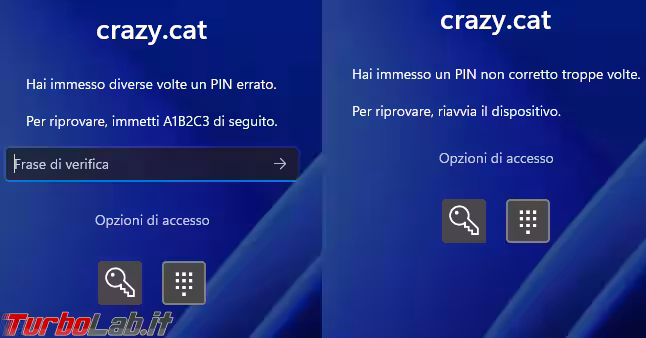 Immagine 2 image1