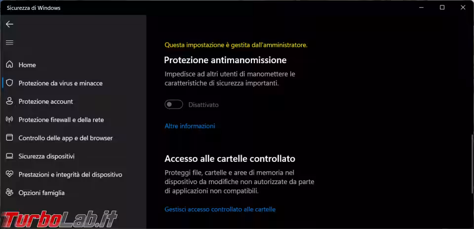 Immagine 1 image1