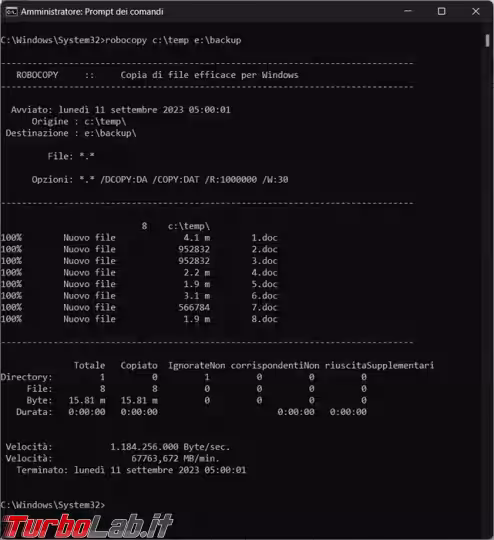 Immagine 1 image1