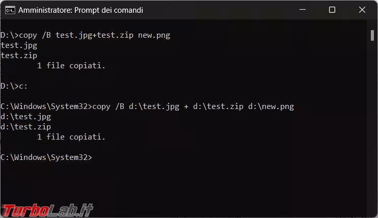 Immagine 4 image1
