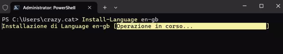 Immagine 1 image1