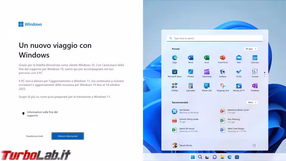 Immagine 1 image1
