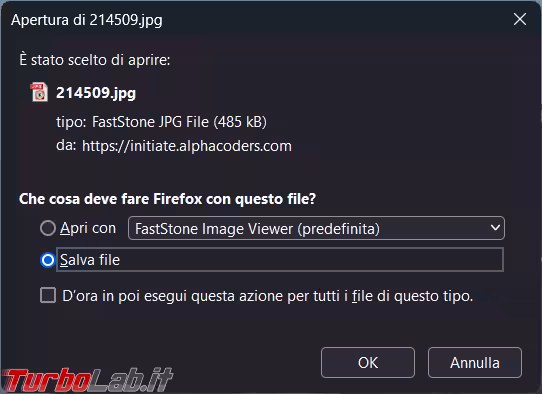 Immagine 2 image2