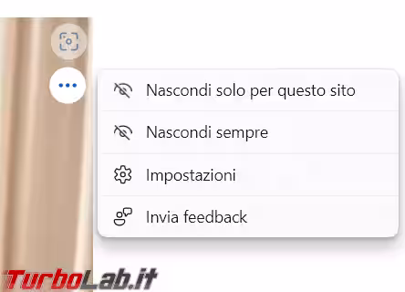 Immagine 2 image2
