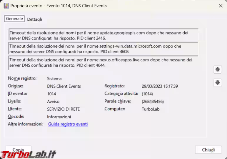 Immagine 2 image2