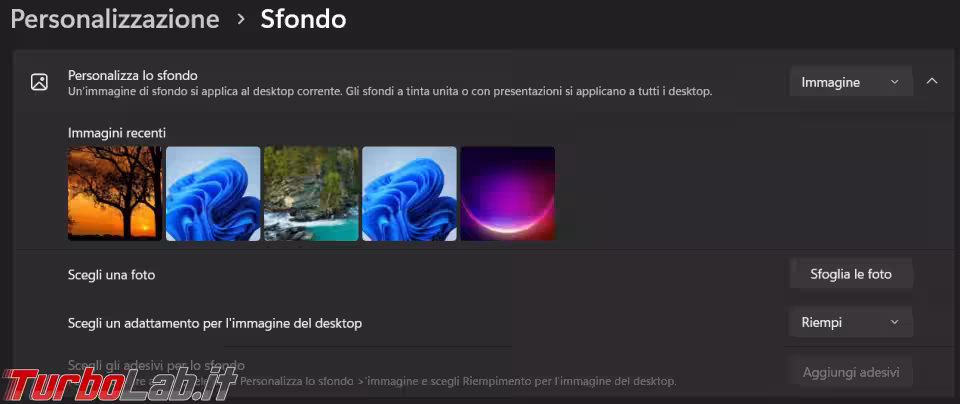 Immagine 2 image2