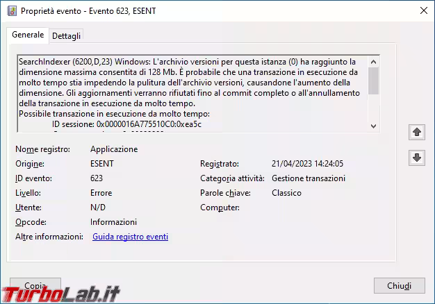 Immagine 2 image2