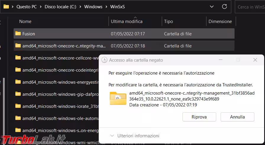 Immagine 2 image2