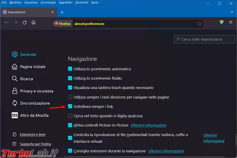 Immagine 2 image2