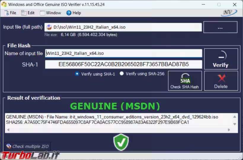 Immagine 2 image2