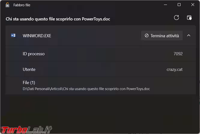 Immagine 3 image3