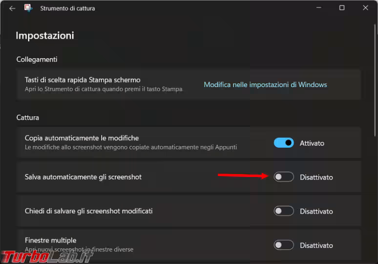Immagine 3 image3