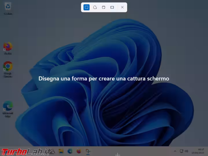 Immagine 3 image3
