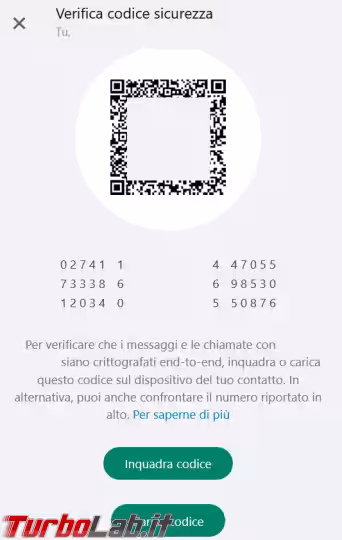 Immagine 3 image3